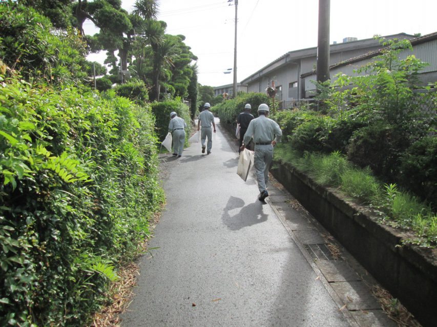 道路美化